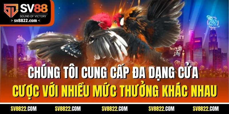 Chúng tôi cung cấp đa dạng cửa cược với nhiều mức thưởng khác nhau