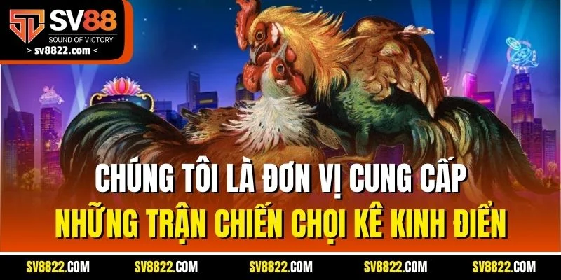 Chúng tôi là đơn vị cung cấp những trận chiến chọi kê kinh điển