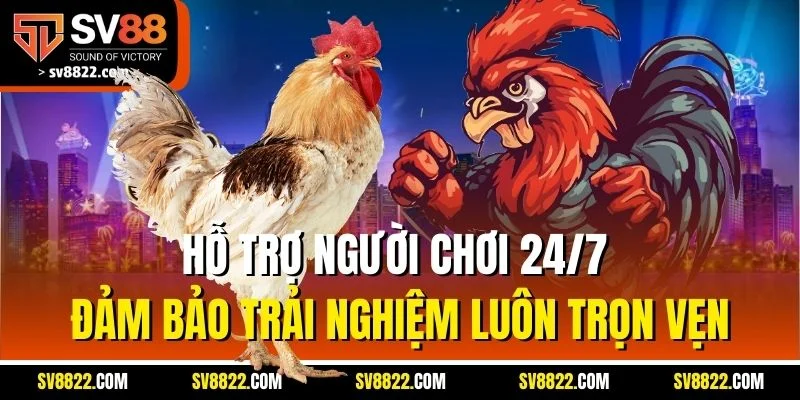 Hỗ trợ người chơi 24/7 đảm bảo trải nghiệm luôn trọn vẹn