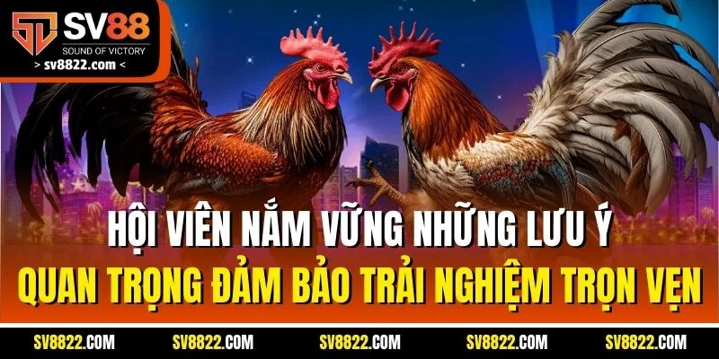 Hội viên nắm vững những lưu ý quan trọng đảm bảo trải nghiệm trọn vẹn