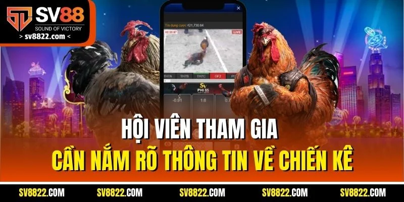 Pitmaster Live | Đơn Vị Cung Cấp Đá Gà Uy Tín Nhất SV88 5 Hội viên tham gia cần nắm rõ thông tin về chiến kê