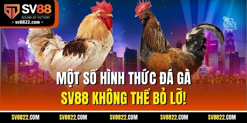 Một số hình thức đá gà SV88 không thể bỏ lỡ!