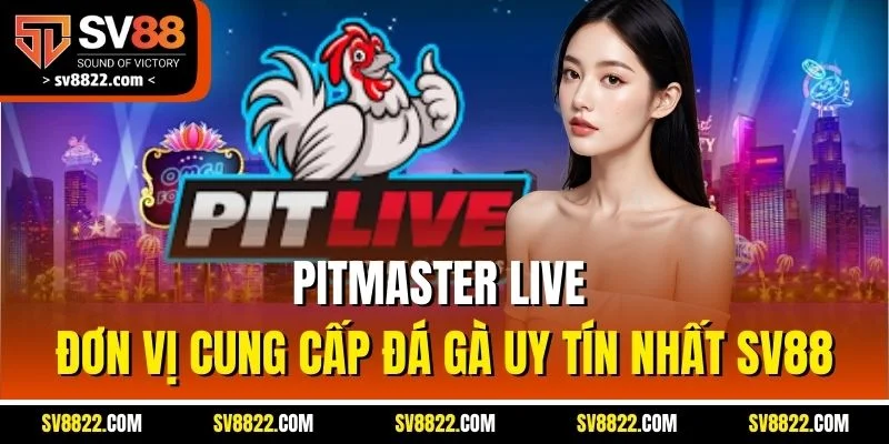Pitmaster Live | Đơn Vị Cung Cấp Đá Gà Uy Tín Nhất SV88