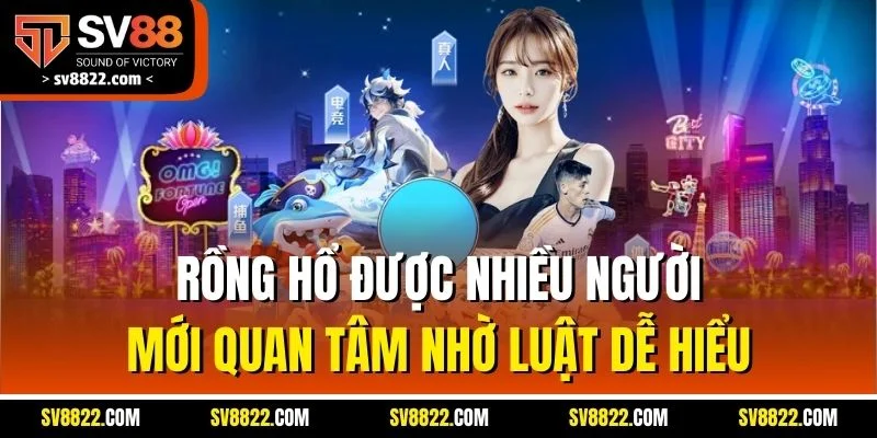 Rồng Hổ được nhiều người mới quan tâm nhờ luật dễ hiểu