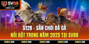 S128 - Sân Chơi Đá Gà Nổi Bật Trong Năm 2025 Tại SV88