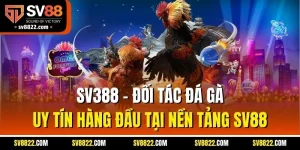 SV388 – Đối Tác Đá Gà Uy Tín Hàng Đầu Tại Nền Tảng SV88