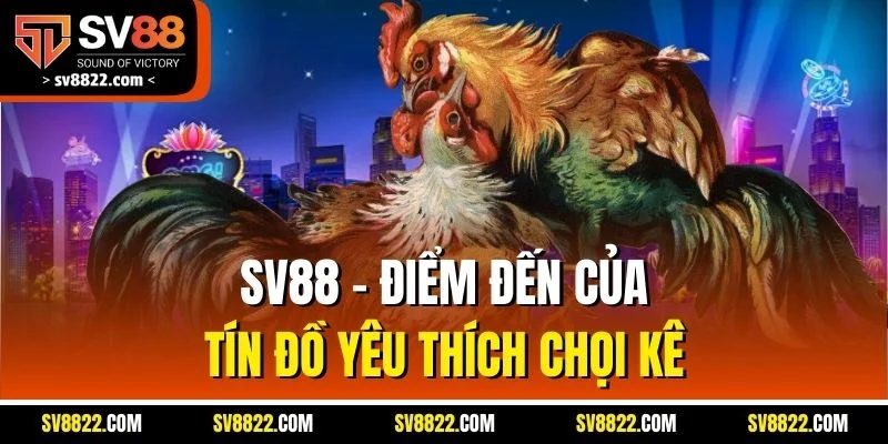 SV88 - Điểm đến của tín đồ yêu thích chọi kê