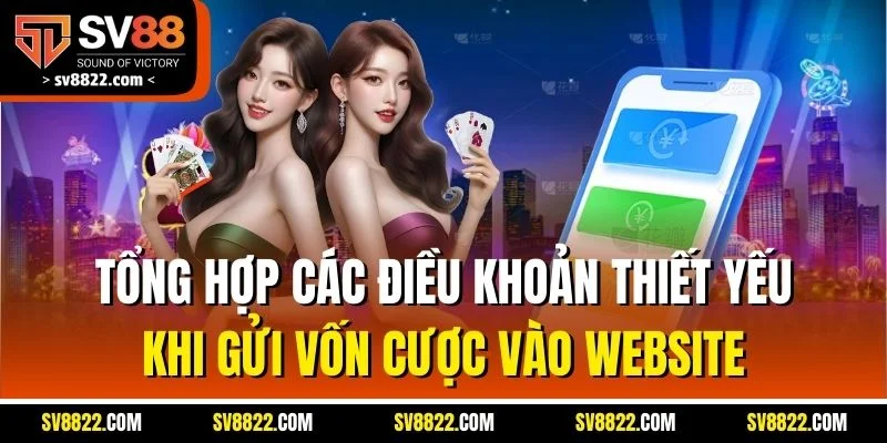Tổng hợp các điều khoản thiết yếu khi gửi vốn cược vào website
