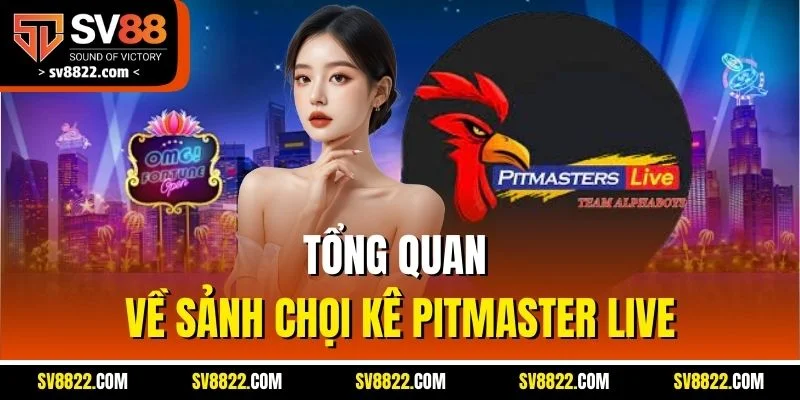 Pitmaster Live | Đơn Vị Cung Cấp Đá Gà Uy Tín Nhất SV88 2 Tổng quan về sảnh chọi kê Pitmaster Live